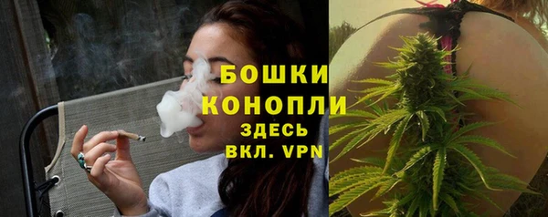 СК Краснослободск