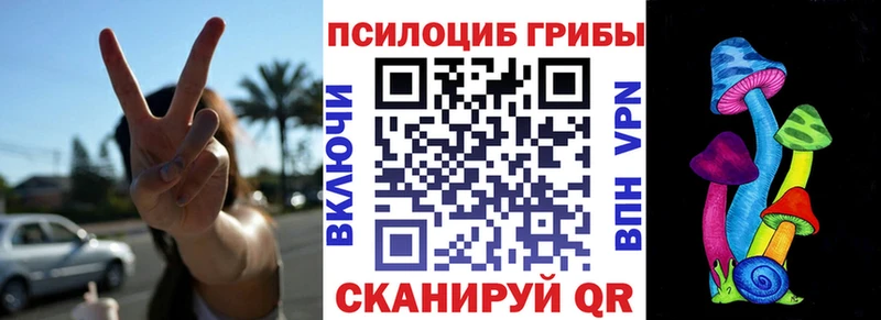 Псилоцибиновые грибы MAGIC MUSHROOMS  Купить где  Карабаново 